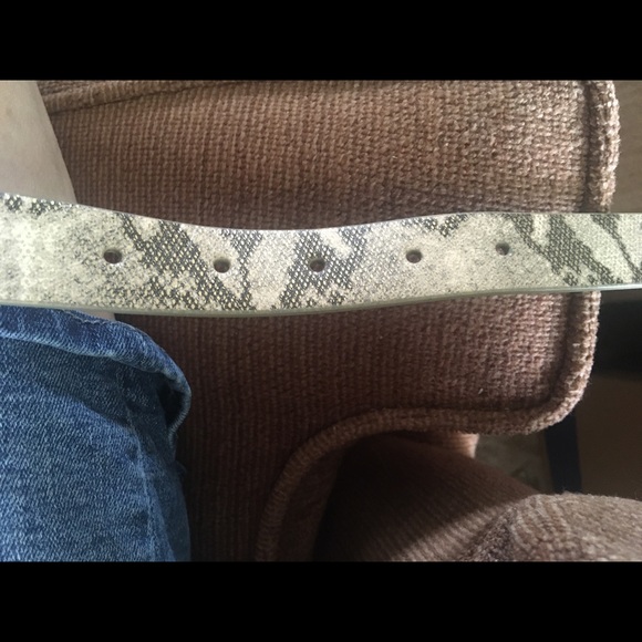 Style & Co. Gold Shimmer Faux Snakeskin Belt NWT - Picture 6 of 7